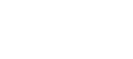 Fese Media Agency